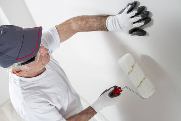 Best Basement Mold Removal  in Mount Zion, GA