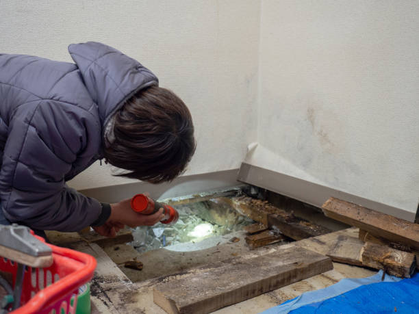 Best Post-Remediation Verification Testing  in Mount Zion, GA