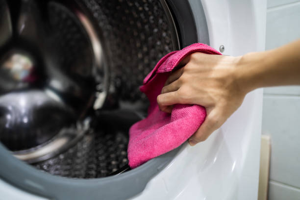 Best Mold Prevention Services  in Mount Zion, GA