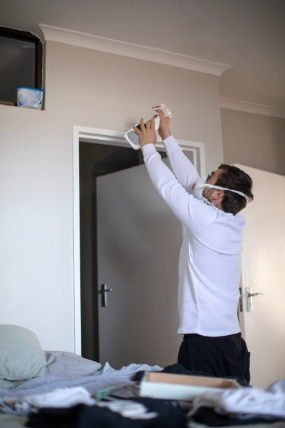 Best Mold Damage Restoration  in Mount Zion, GA