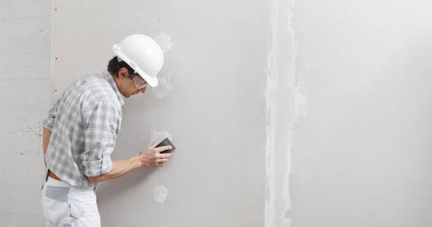 Best Industrial Mold Remediation  in Mount Zion, GA