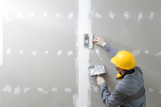 Best Crawl Space Mold Remediation  in Mount Zion, GA