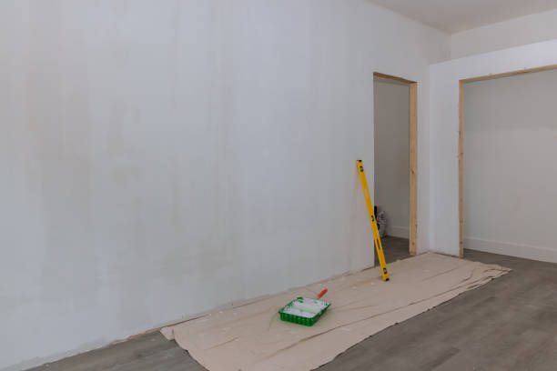 Best Attic Mold Removal  in Mount Zion, GA