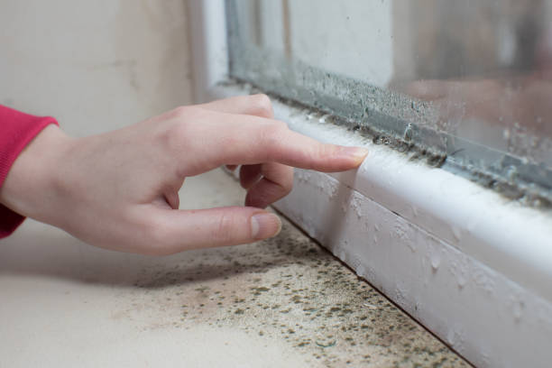 Best Airborne Mold Testing  in Mount Zion, GA