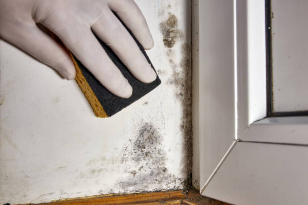 Best Forensic Mold Investigation  in Mount Zion, GA
