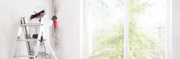Best Dehumidification Services  in Mount Zion, GA