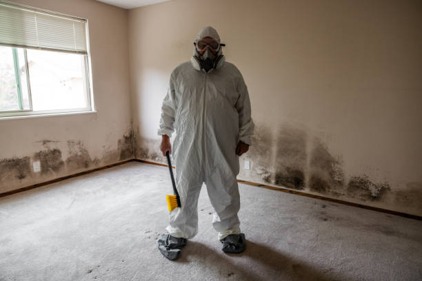 Best Mold Removal for HVAC Installations  in Mount Zion, GA