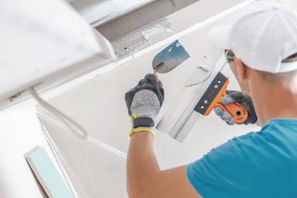 Reliable Mount Zion, GA Mold Removal Solutions
